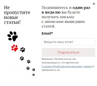 Соблюдайте регулярность отправки email рассылок