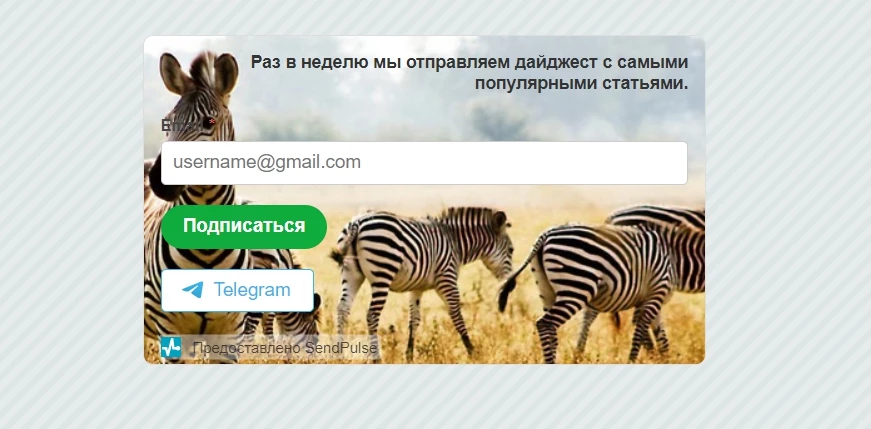 Мультиканальная форма подписки в SendPulse